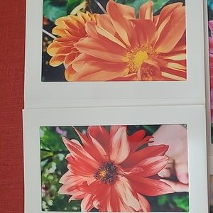 3 Photo Blank Inside Flower Cards!
